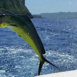 fish on Trolling Charter