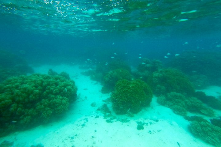 a pool next to a body of water
