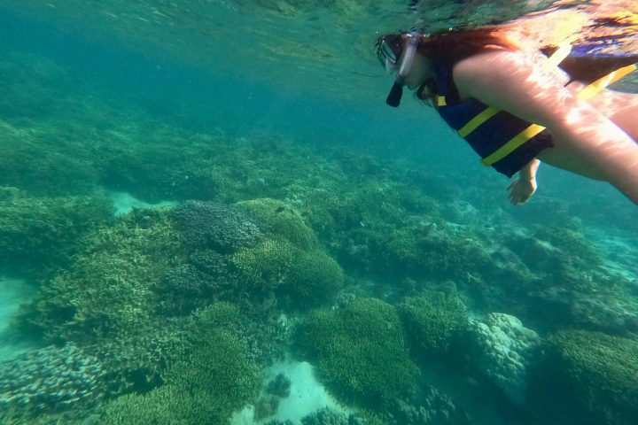 a person swimming in a body of water