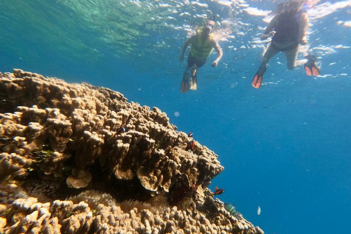 a man swimming in a rocky area