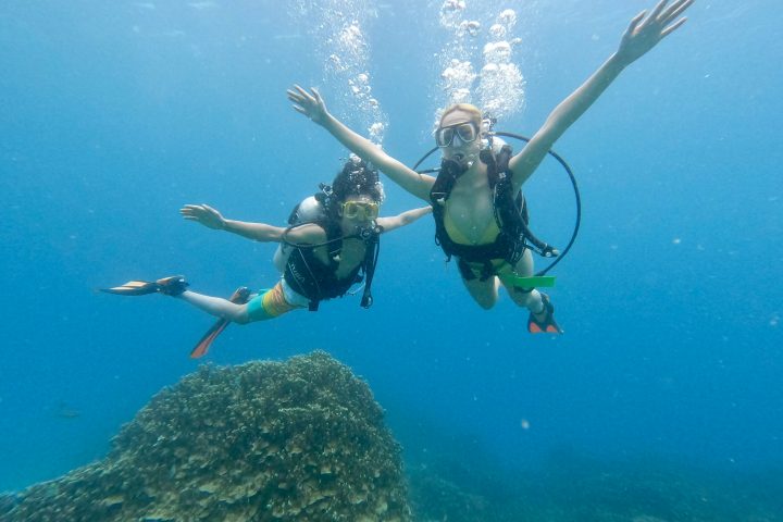 a group of people swimming in a body of water