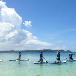 Paddle boarders