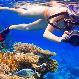 Photography Snorkler and fish