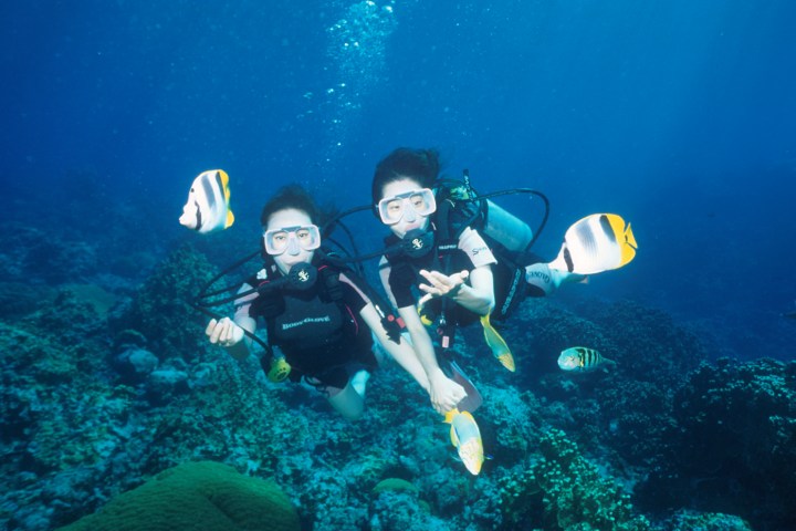 Experience Diving