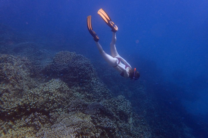 a man swimming in the water