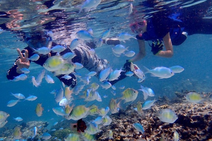 a person swimming in the water