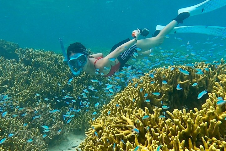 a group of people swimming in the water