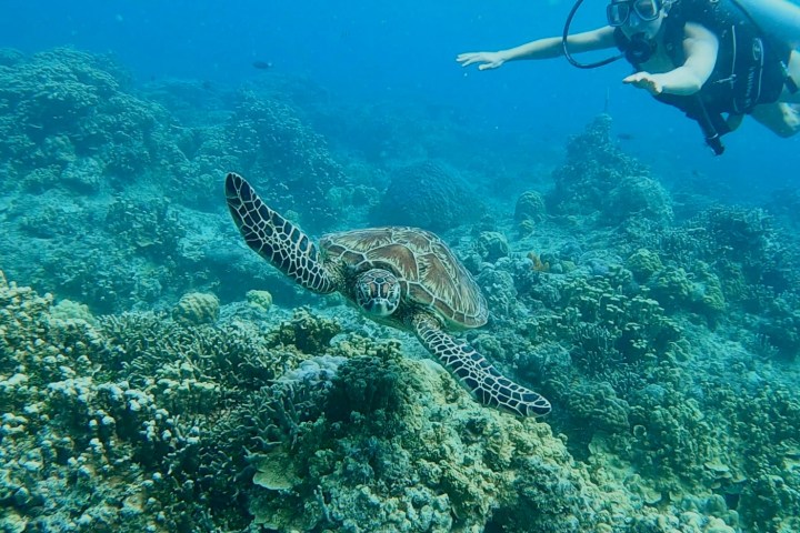 underwater view of the earth from space