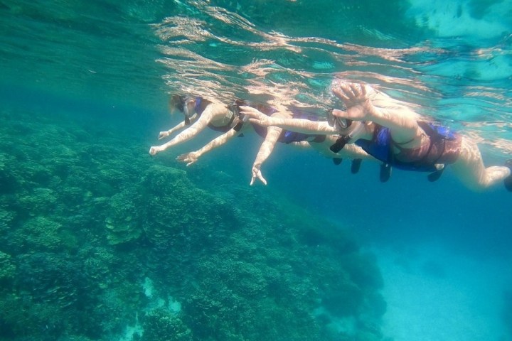 a person swimming in the water