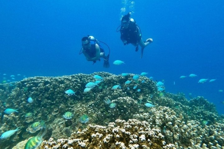 underwater view of a swimming pool
