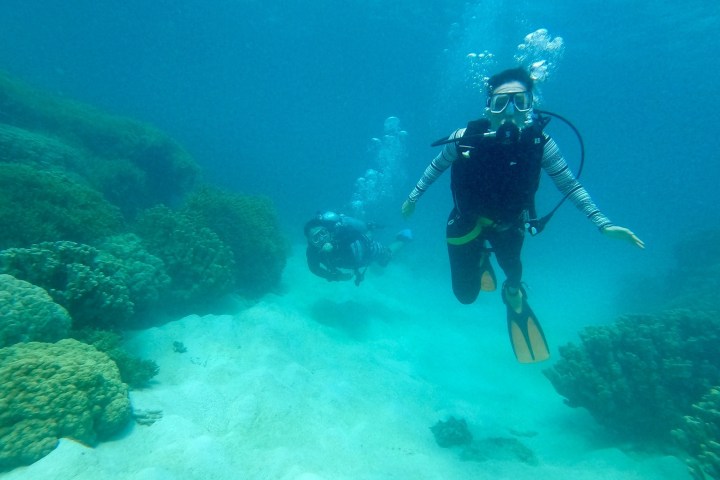 a person swimming in the water